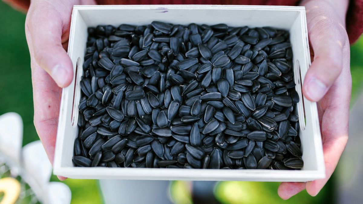 This is the ideal healthy snack because it takes care of the heart and fights inflammation