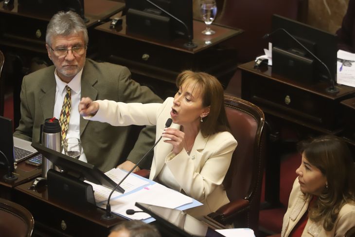 Cristina López, la senadora fueguina que calificó de mentiroso a Francos. Cristina López, la senadora fueguina que calificó de mentiroso a Francos.