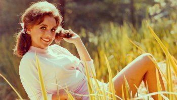 Dawn Wells falleció por complicaciones derivadas a una infección de coronavirus.