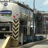 El conflicto en Conaprole podría derivar en la tercerización de la planta de Montevideo, advierten los productores. El conflicto en Conaprole podría derivar en la tercerización de la planta de Montevideo, advierten los productores.