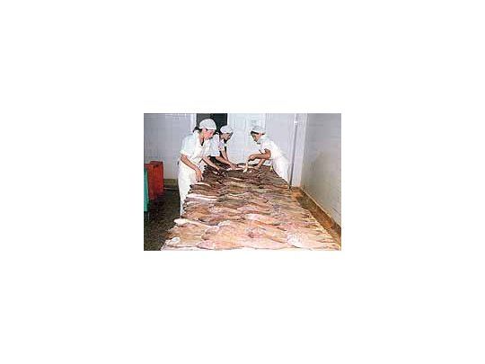 Salmón: estiman suba en oferta mundial
