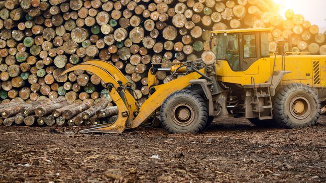 La industria forestal impulsaría el crecimiento del agronegocio en Uruguay.