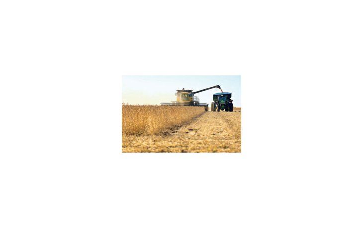 Los productores cosecharon el 97% de los 17,1 millones de hectáreas sembradas con soja.