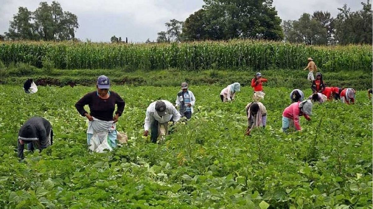 How much will farm workers start to earn?