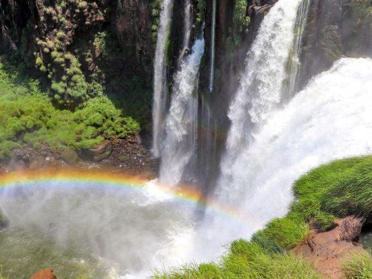 Las Cataratas del Iguazú son una de las mejores opciones para ir a pasar unos diás relajantes en familia, con amigos o solo.