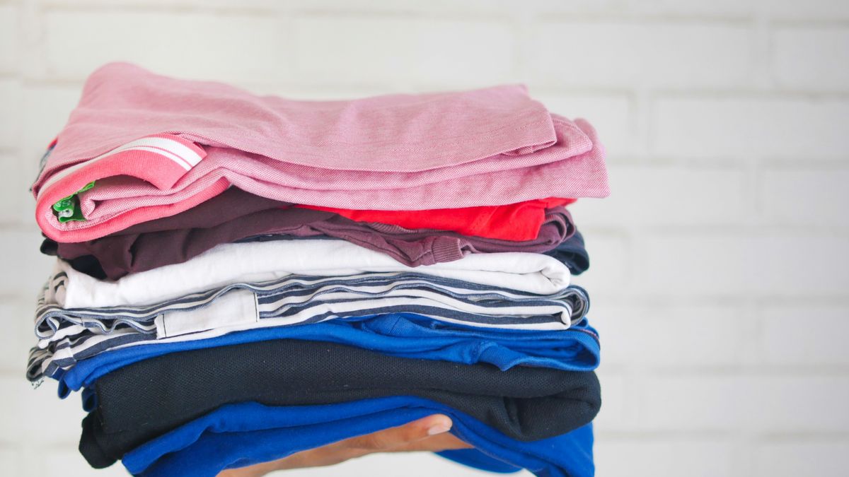 The viral trick to remove lint from clothes that is 100% effective: you only need a sponge