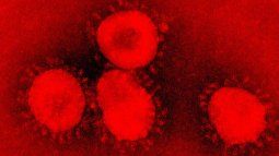 El coronavirus fue declarado pandemia por la OMS.&nbsp;