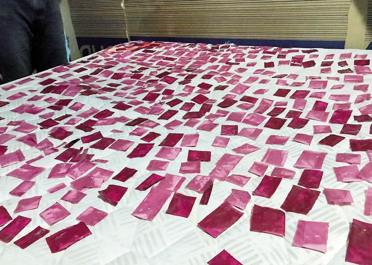 impacto. La cocaína adulterada en el conurbano bonaerense dejó el trágico saldo de 24 muertos y más de 80 intoxicaciones.