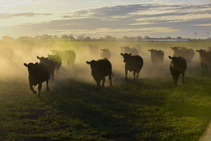 La baja de retenciones beneficia al agro pero presiona a que se realice la liquidación de divisas 