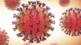 alerta en israel: le detectaron a una embarazada una doble infeccion de covid-19 e influenza