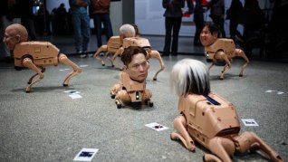 Regular Animals, la impactante muestra que se puede ver en Berlín.