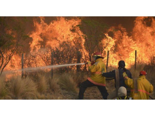 Incendios forestales: cambio climático y accionar negligente del ser humano