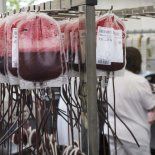 Esta creación será de gran utilidad para las clínicas y hospitales. Esta creación será de gran utilidad para las clínicas y hospitales.