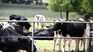 Saudi Arabia has authorized the import of milk and dairy by-products from Uruguay. Saudi Arabia has authorized the import of milk and dairy by-products from Uruguay.