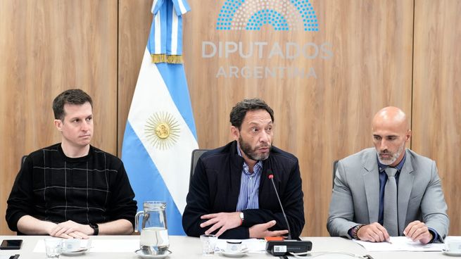 Maximiliano Ferraro junto a Juan Marino, los dos diputados que presidieron la comisión $LIBRA.