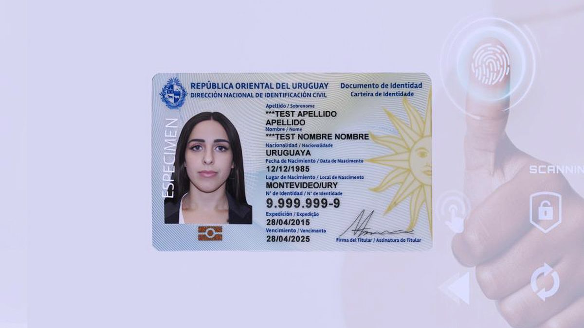 The government resolved the immigration situation of 20,000 irregular residents