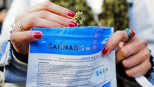 Sube el precio del cannabis, ¿a cuánto se consigue en las farmacias?