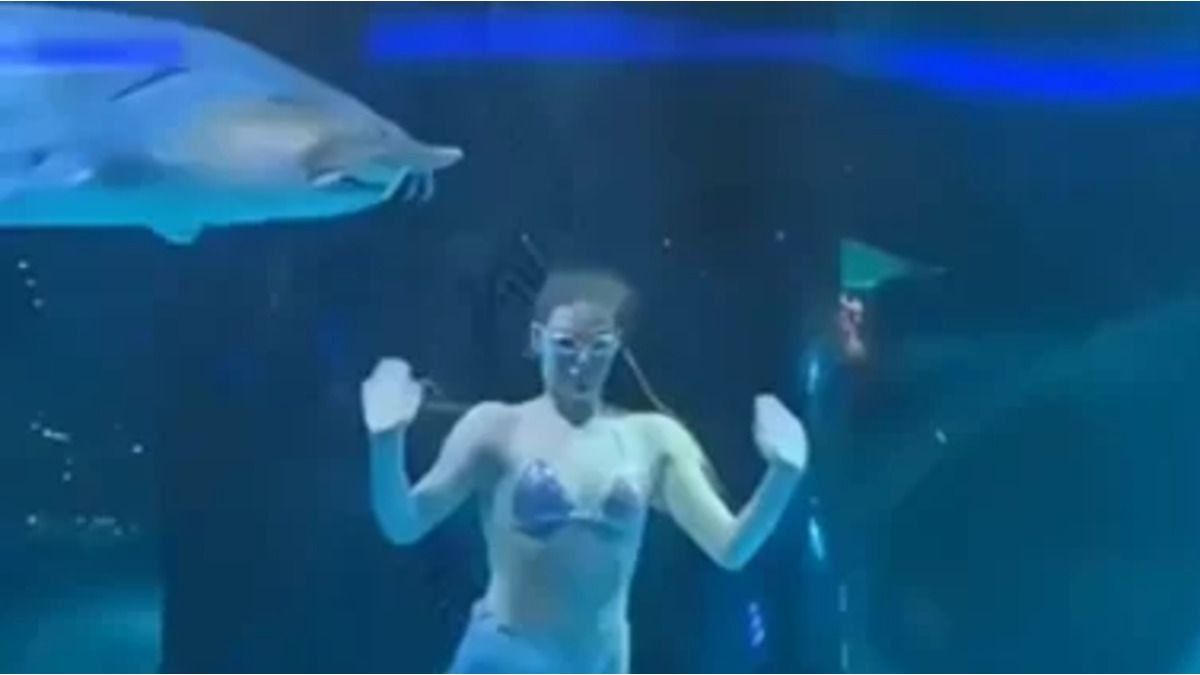 China: desperate moment when a fish attacks a woman during a show in the water