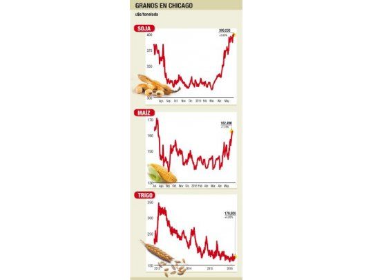 El maíz mantuvo su firmeza