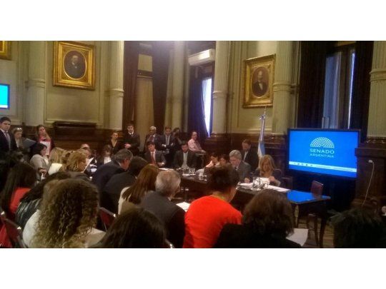 Reunión conjunta de Comisión de la Mujer y Asuntos Constitucionales del Senado. Foto Twitter @almaacrata