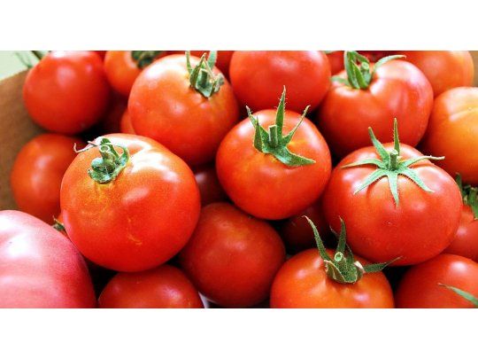 Extracto de tomate, eficaz contra la inflamación de la próstata