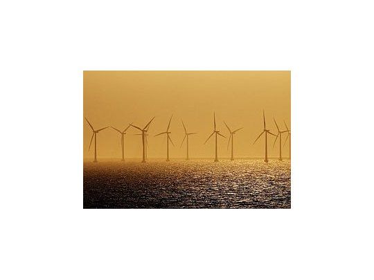 Los bonos verdes, un vehículo para la viabilidad de la economía.