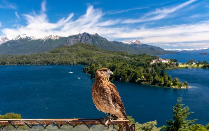 Verano en Bariloche