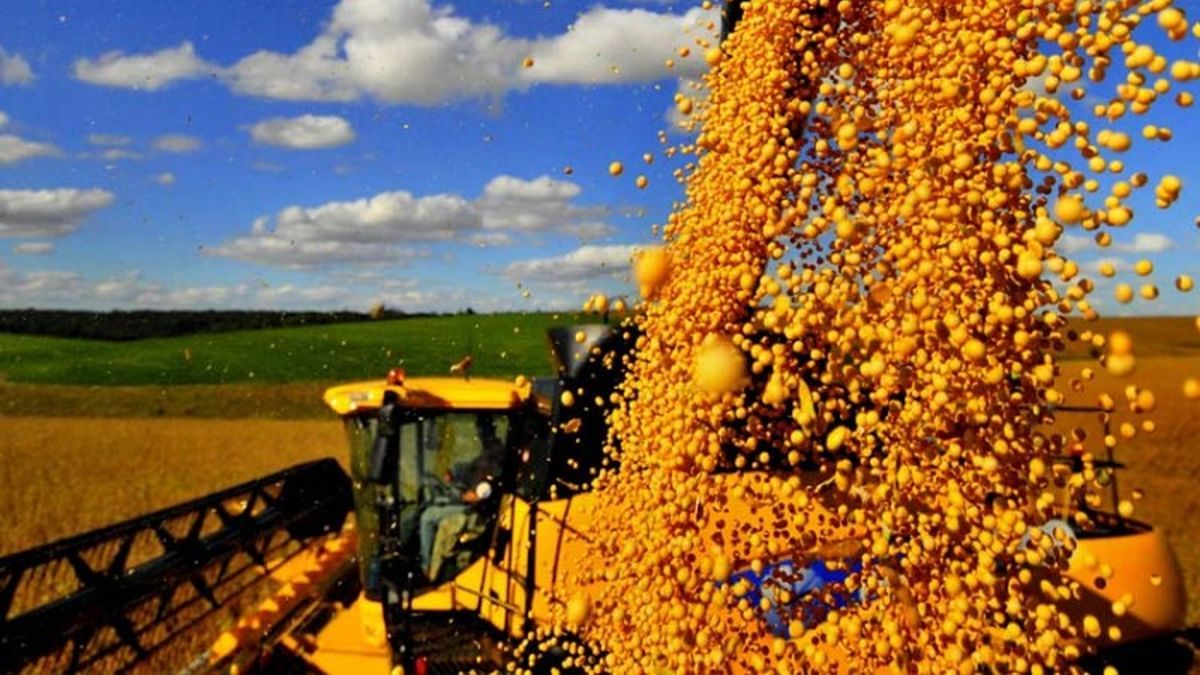Grains soared more than 4% and soybeans exceeded 5 a ton