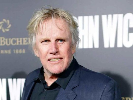 Gary Busey.webp