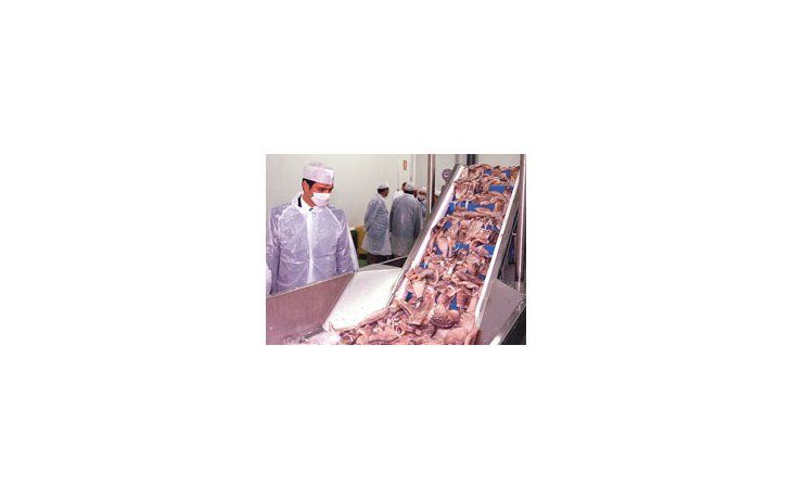 La industria pesquera exporta un 95% de su producción lo que anualmente representa unos U$S 1.000millones. Por la recesión mundial este año se contraerían fuertemente las ventas.