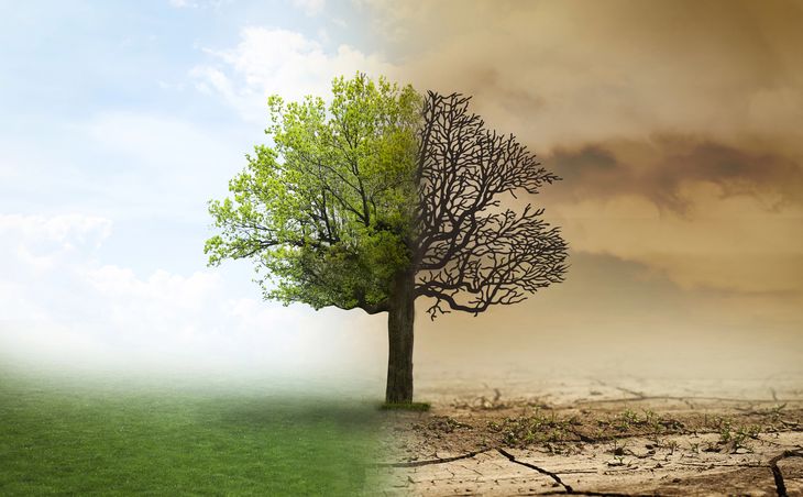 La concentración de dióxido de carbono (CO2) en la atmósfera alcanzó las 426,8 partes por millón, un récord equivalente al 153% del nivel preindustrial de 1750. La concentración de dióxido de carbono (CO2) en la atmósfera alcanzó las 426,8 partes por millón, un récord equivalente al 153% del nivel preindustrial de 1750.