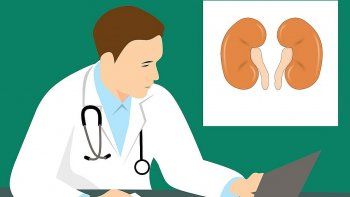 casi 41.000 argentinos estan bajo tratamiento sustitutivo renal