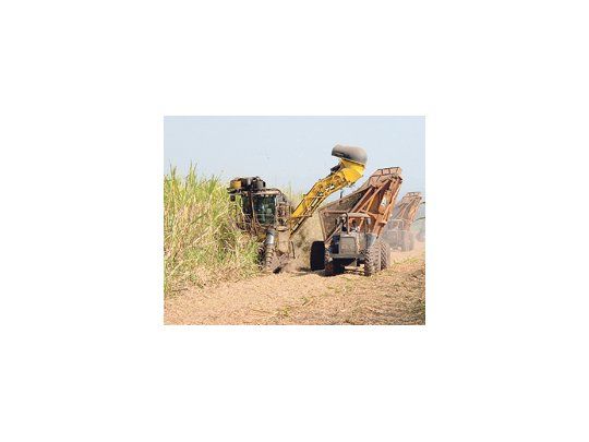 En la presente zafra de caña de azúcar, que fue adelantada un mes, se registraron problemas de abastecimiento, ya que ahora también es demandante la industria de bioetanol.