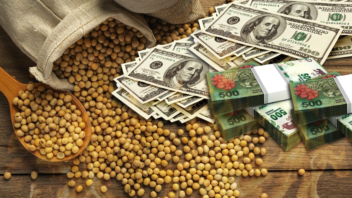 Foreign exchange settlement of agriculture does not take off and in January it would contribute barely US$1,000 million