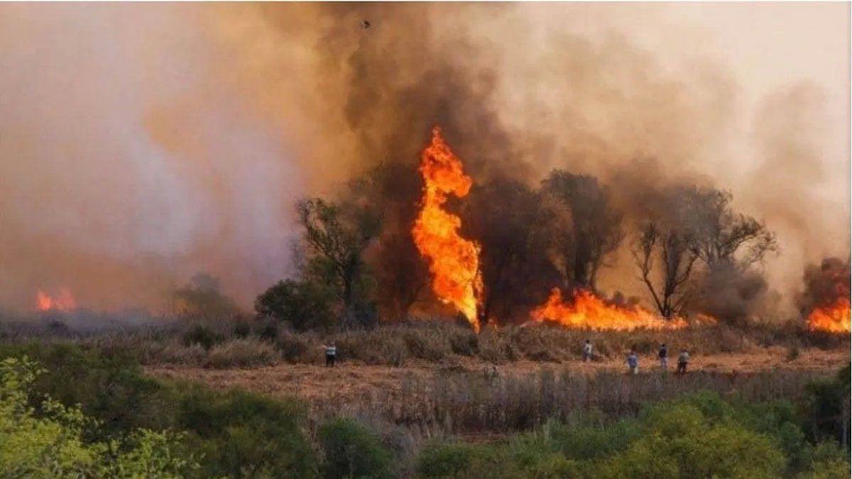 Incendios forestales: registran focos activos en Entre Ríos y San Luis