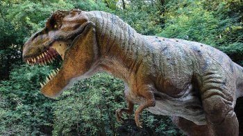 Cerca de 2.500 millones de T-Rex habitaron nuestro planeta.