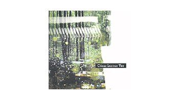 Valioso primer CD solista del músico César Lerner