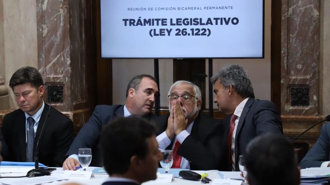 Juan Carlos Pagotto, presidente de la Comisión Bicameral. A su izquierda, el senador Zimmerman.