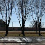 Un pueblo bonaerense que se destaca por su tranquilidad y belleza natural. Un pueblo bonaerense que se destaca por su tranquilidad y belleza natural.