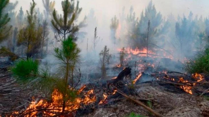 Incendios en Corrientes.