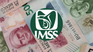 Alerta, trabajadores: el trámite que reduce el monto de tu pensión Ley 97 del IMSS y te borra semanas cotizadas