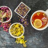 Al llegar el otoño, las temperaturas bajan y nuestro sistema necesita protección. Al llegar el otoño, las temperaturas bajan y nuestro sistema necesita protección.