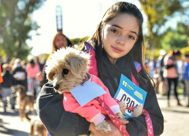 maraton de mascotas (4).jpg