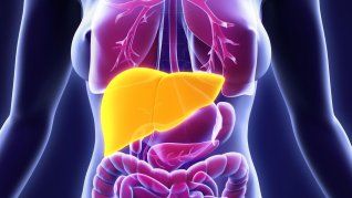 Un estudio descubrió cómo el alchol modifica las proteínas, lo que favorece el hígado graso. Un estudio descubrió cómo el alchol modifica las proteínas, lo que favorece el hígado graso.