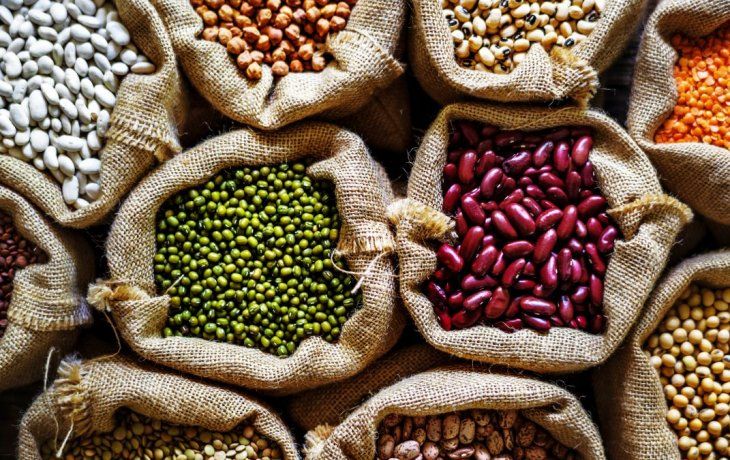 este alimento te ayuda a tener un cerebro mas joven y saludable