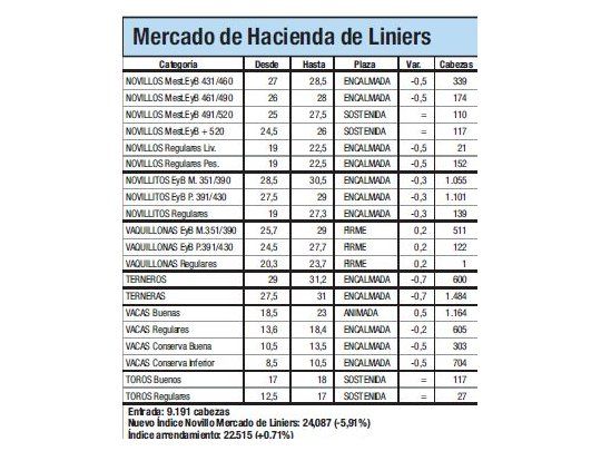 El Índice Novillo cayó 6% en Liniers