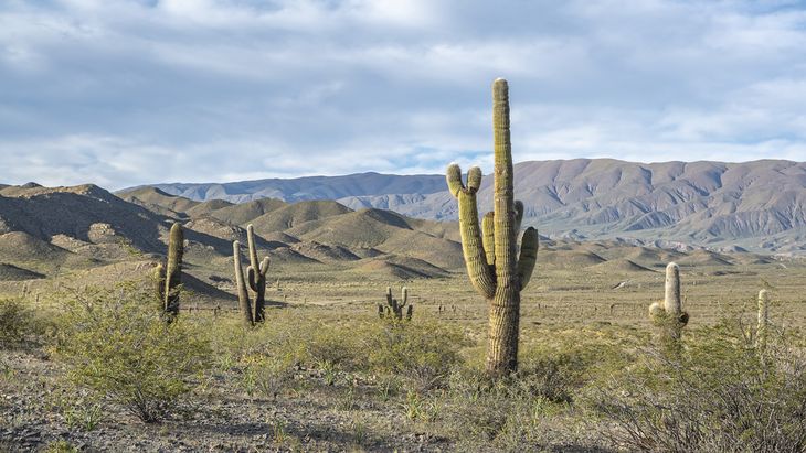 Este lugar ubicado en Salta hace recordar las películas del viejo oeste.