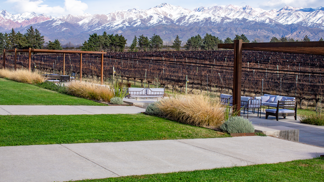 Los vinos blancos y rosados ganan protagonismo en las bodegas.&nbsp;