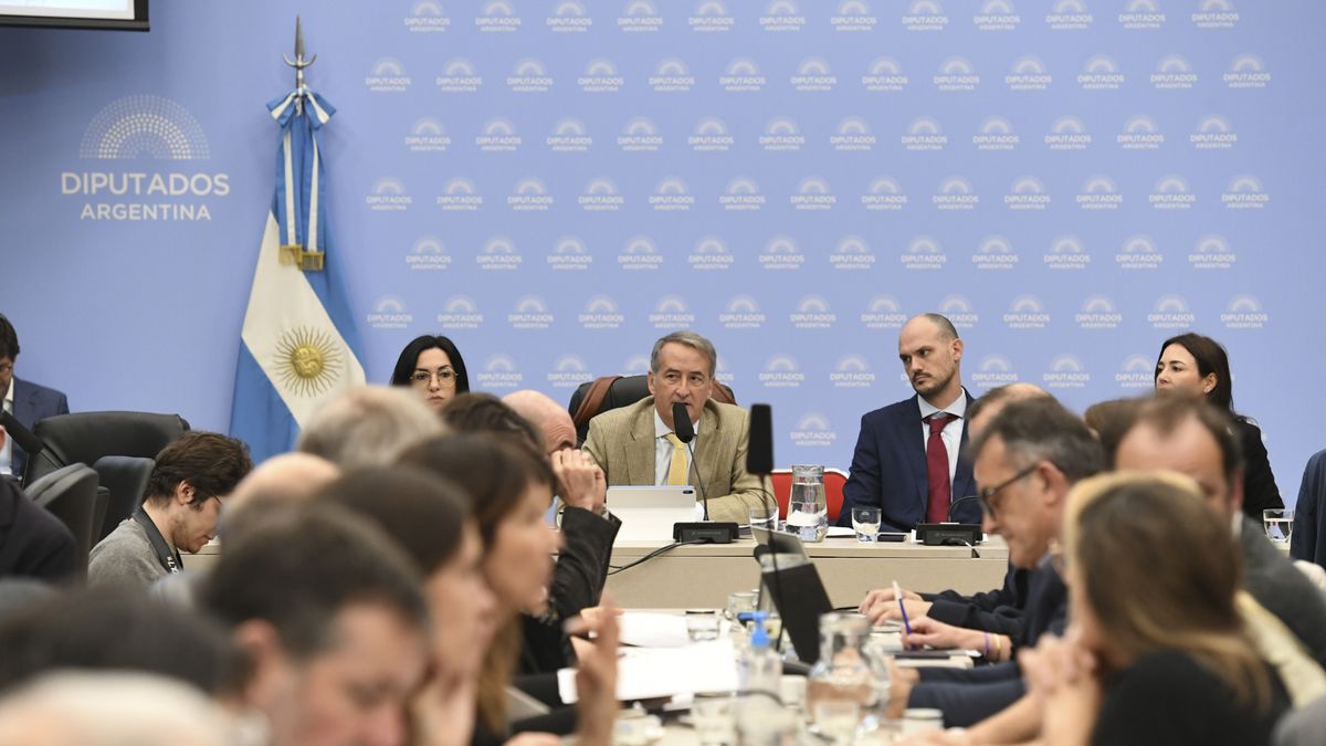 Distintas organizaciones de la sociedad civil en alerta por el proyecto de ley de Lobby