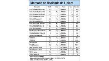 Mercado de Liniers: novillo subió 4,18%